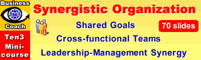 SYNERGISTIC ORGANIZATION (Ten3 Mini-course) - How To Build a Modern Winning Organization