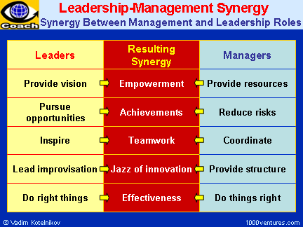 synergy management