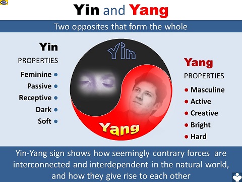 Yin and Yang properties best slide Денис Котельников Vadim Kotelnikov